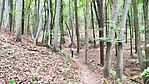 IMG_20250802_154601