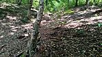 IMG_20250802_134701