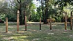 IMG_20250807_093603.jpg
