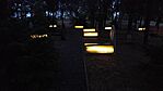 IMG_20250830_194918.jpg