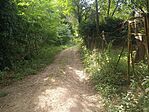 IMG_20250820_094422_1