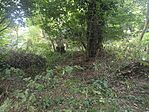 IMG_20250820_094529_1