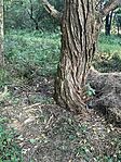 IMG_0497