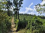 IMG_20250802_122644