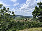 IMG_20250802_124853