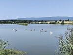 IMG_20250814_124259
