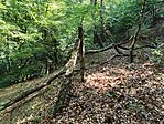 IMG_20250820_105434