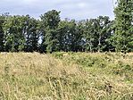 IMG_20250823_095333