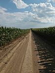 IMG_20250802_155210223
