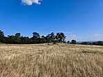 IMG_20250723_165521