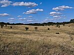 IMG_20250723_165921