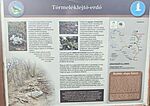 IMG_20250729_190442