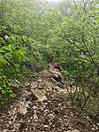 IMG_20250729_190230