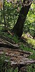 IMG_20250801_130443