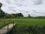 IMG_20250729_123725
