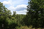 IMG_20250823_135858_4673