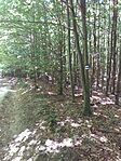 20250819_125428.jpg
