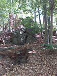 20250819_125133.jpg