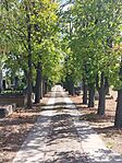 IMG_20250827_114920