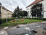 IMG_20250727_135539