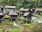 IMG_0214