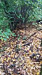 IMG_20250822_135940