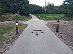 IMG_20250802_194909_310