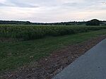 IMG_20250802_194903_590