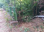 IMG_20250802_190703_542
