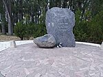 IMG_20250802_200624_544