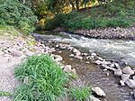 IMG_20250806_171739_976