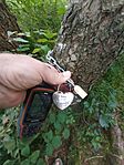 IMG_20250827_185754_100