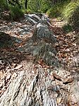 IMG_20250828_132248_560