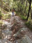 IMG_20250828_131719_417