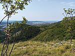 IMG_20250828_124132_801