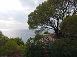 IMG_20250828_171119_566