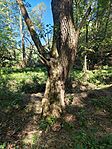 IMG_20250920_125841543_HDR