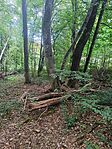IMG_20250907_111009_902