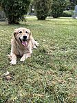 IMG_0690