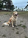 IMG_0691