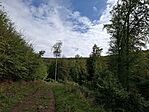 20250927_115848(1)