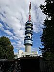 20250927_133101(1)
