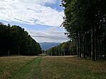 20250927_135124(1)