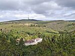 20250927_145022(1)