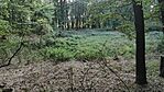 IMG_20250901_181345