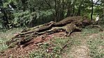IMG_20250923_131514