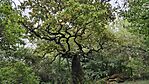 IMG_20250923_132446