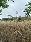 IMG_20250906_134137