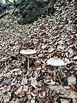 IMG_20250926_122822