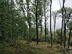 IMG_20250926_133705